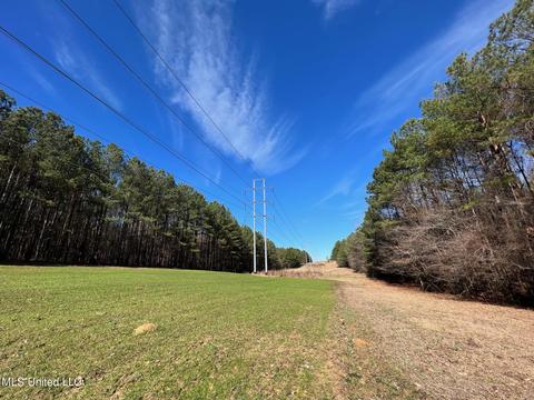 Chaney Rd, Ackerman, MS 39735 photo 11