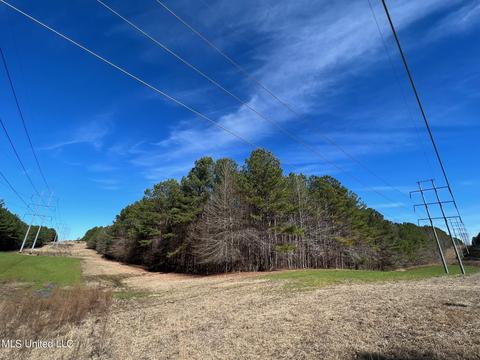Chaney Rd, Ackerman, MS 39735 photo 8