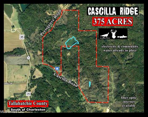 81 Cascilla Rd, Holcomb, MS 38940 photo 1