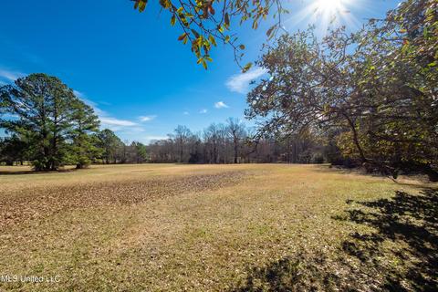171 Winged Foot Cir, Jackson, MS 39211 photo 3