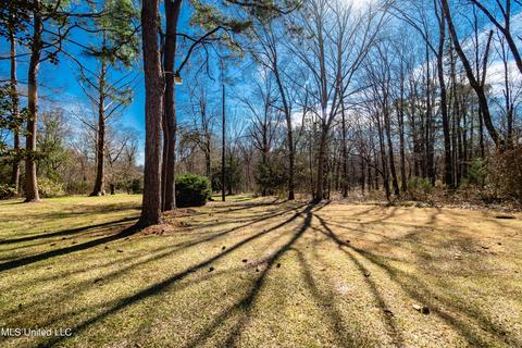 171 Winged Foot Cir, Jackson, MS 39211 photo 20