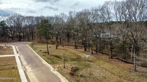 110 Belle Fleur Ln, Clinton, MS 39056 photo 2
