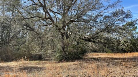 14016 Alcede Lizana Rd, Gulfport, MS 39503 photo 3