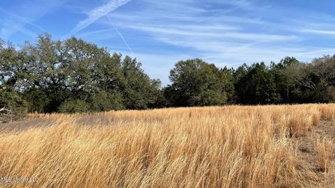 14016 Alcede Lizana Rd, Gulfport, MS 39503 photo 4