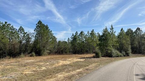 14016 Alcede Lizana Rd, Gulfport, MS 39503 photo 21