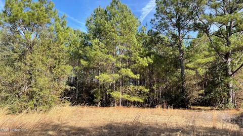14016 Alcede Lizana Rd, Gulfport, MS 39503 photo 13