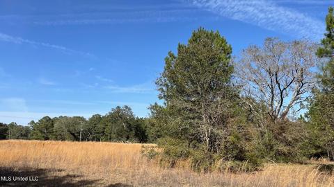 14016 Alcede Lizana Rd, Gulfport, MS 39503 photo 14