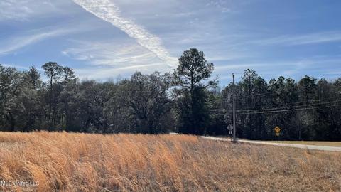 14016 Alcede Lizana Rd, Gulfport, MS 39503 photo 6