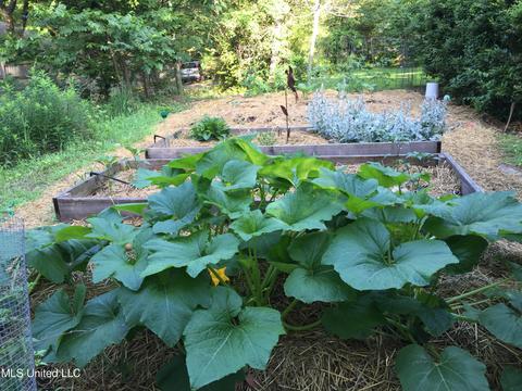 6 Park Ave, Jackson, MS 39202 photo 22