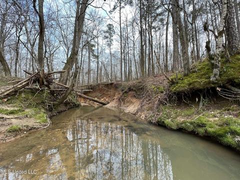 0 Midway Rd, Wesson, MS 39191 photo 6