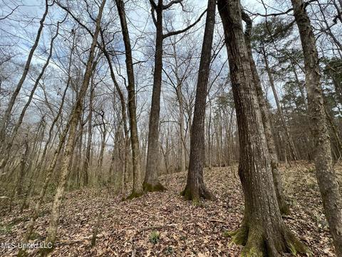 0 Midway Rd, Wesson, MS 39191 photo 4