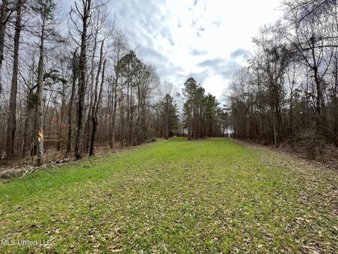 0 Midway Rd, Wesson, MS 39191 photo 9