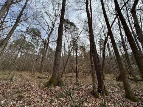 0 Midway Rd, Wesson, MS 39191 photo 3