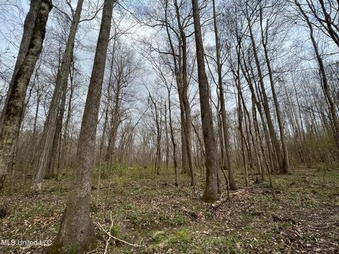 0 Midway Rd, Wesson, MS 39191 photo 12