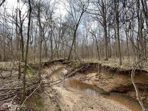 0 Midway Rd, Wesson, MS 39191 photo 13
