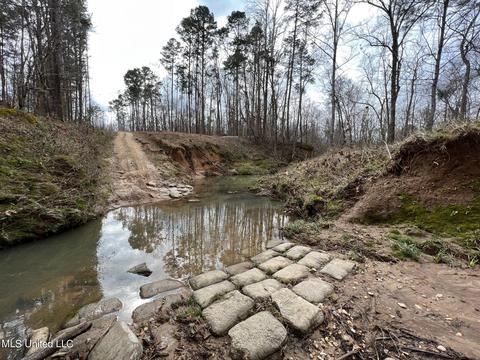 0 Midway Rd, Wesson, MS 39191 photo 7