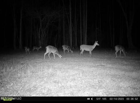 0 Midway Rd, Wesson, MS 39191 photo 25