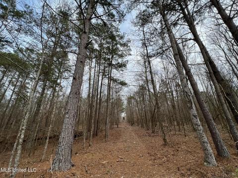 0 Midway Rd, Wesson, MS 39191 photo 8