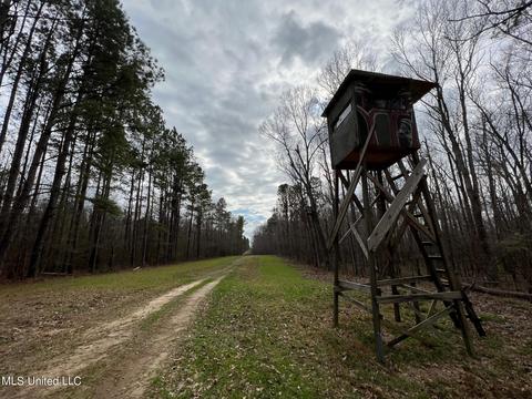 0 Midway Rd, Wesson, MS 39191 photo 5