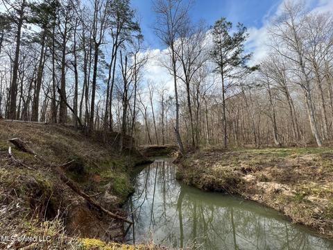 0 Midway Rd, Wesson, MS 39191 photo 19