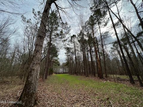 0 Midway Rd, Wesson, MS 39191 photo 11