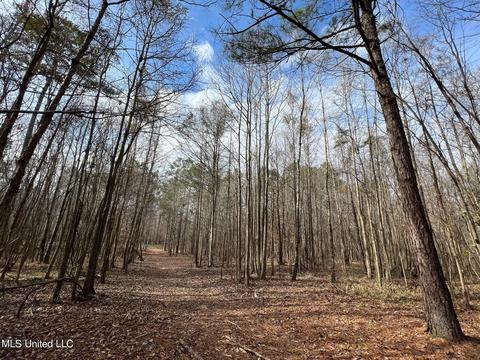 0 Midway Rd, Wesson, MS 39191 photo 18