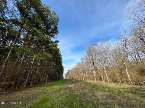 0 Midway Rd, Wesson, MS 39191 photo 20