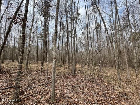 0 Midway Rd, Wesson, MS 39191 photo 10