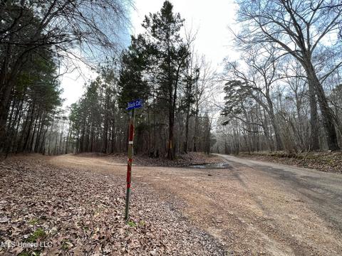 0 Midway Rd, Wesson, MS 39191 photo 24