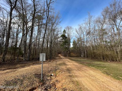 0 Midway Rd, Wesson, MS 39191 photo 22