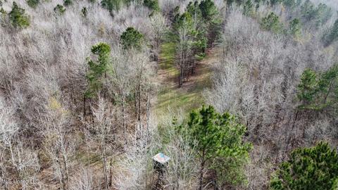 0 Midway Rd, Wesson, MS 39191 photo 17