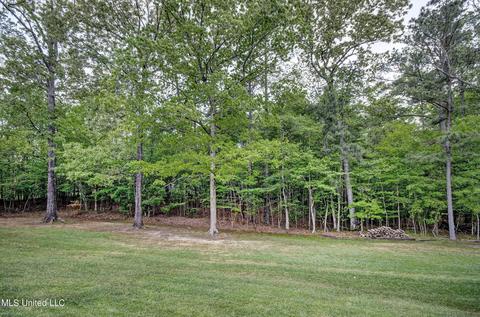 821 Westerly Dr, Brandon, MS 39042 photo 42