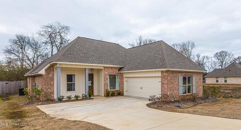 262 Buttonwood Ln, Canton, MS 39046 photo 2