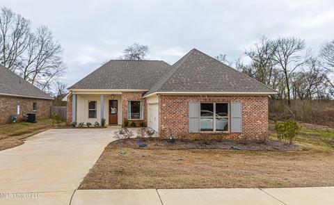 262 Buttonwood Ln, Canton, MS 39046 photo 1