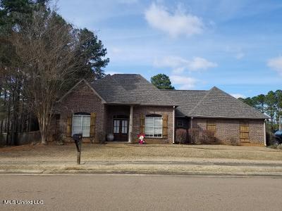 164 Devlin Springs Dr, Madison, MS 39110 photo 1