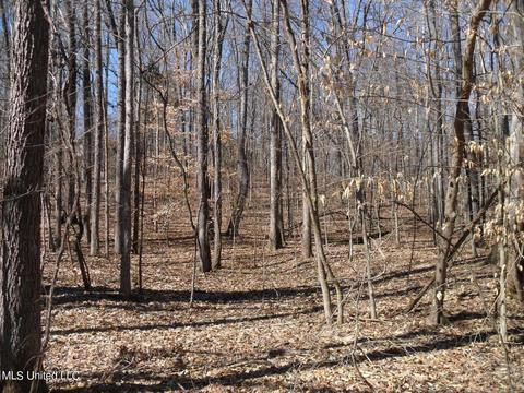 600 Kimes Cv, Sardis, MS 38666