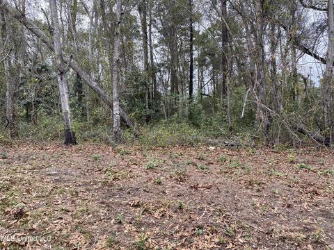 Lot 152 Grouper, Gautier, MS 39553