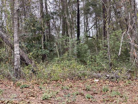 Lot 118 Dolphin, Gautier, MS 39553