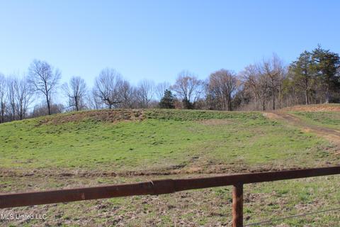 3985 Watson Desoto Rd, Byhalia, MS 38611