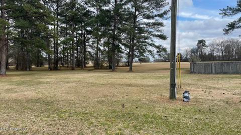 211 Greenview Dr, Forest, MS 39074 photo 8