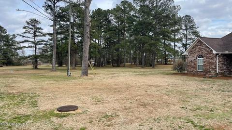 211 Greenview Dr, Forest, MS 39074 photo 7