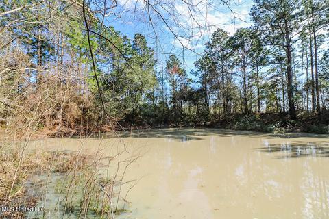6239 Highway 612, Lucedale, MS 39452 photo 26