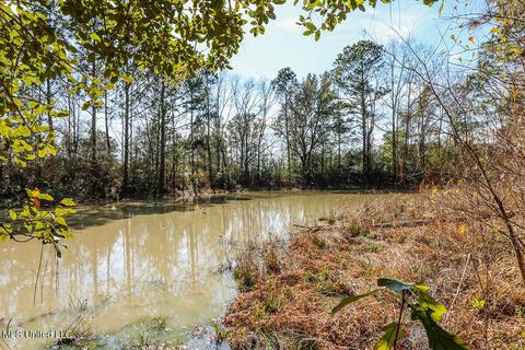 6239 Highway 612, Lucedale, MS 39452 photo 25
