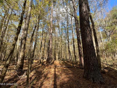 Highway 500, Lena, MS 39094 photo 8