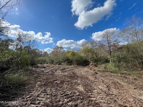 Highway 500, Lena, MS 39094 photo 16