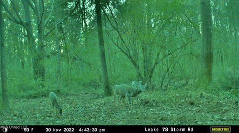 Highway 500, Lena, MS 39094 photo 26
