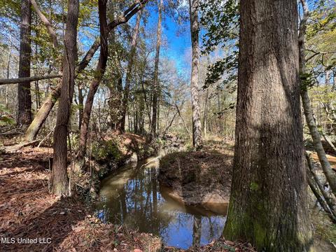 Highway 500, Lena, MS 39094 photo 6