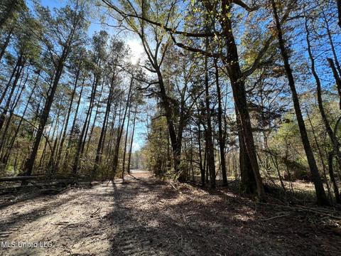 Highway 500, Lena, MS 39094 photo 4