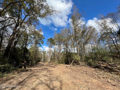 Highway 500, Lena, MS 39094 photo 19