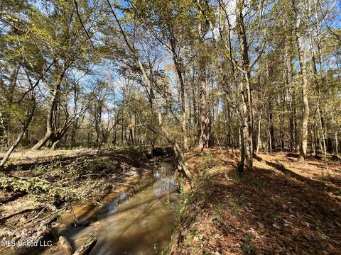 Highway 500, Lena, MS 39094 photo 7